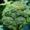 Brokkoli