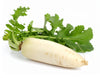 Weißer Rettich