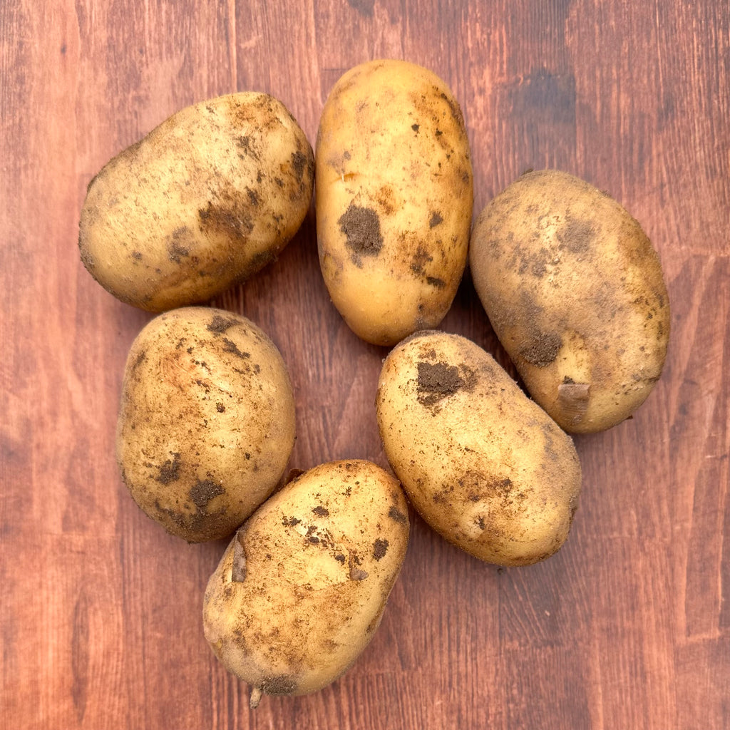 Bio Frühkartoffeln Lea, fk