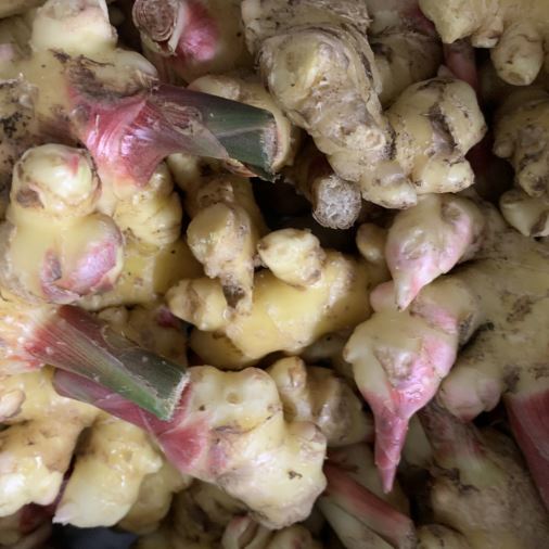 Ingwer Regional Demeter