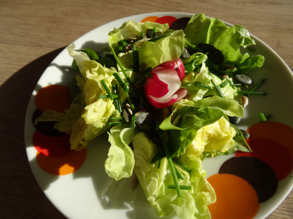 Saatgutportion Kopfsalat Altenburger Winter