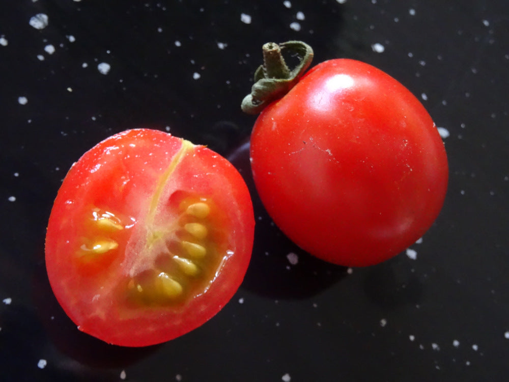 Saatgutportion Kirschtomate Philamina