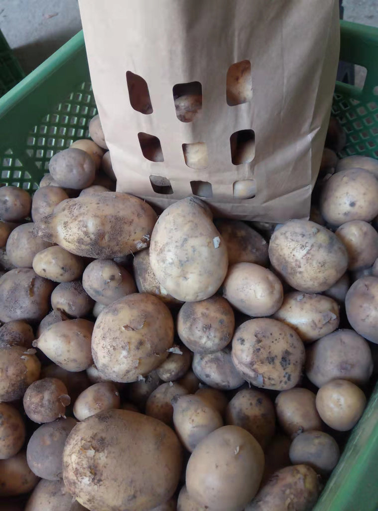 Kartoffeln Bio, 5,0 kg