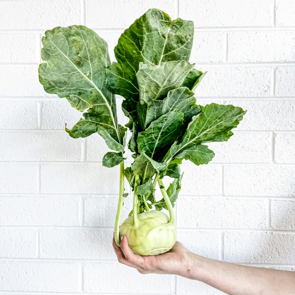 Kohlrabi Superschmelz, 6 kg