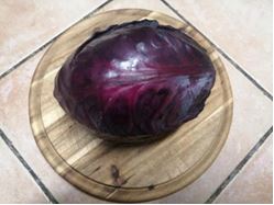 Rotkohl, 6 kg