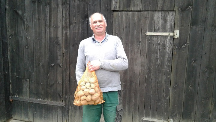 Kartoffeln Adretta 12,5 kg Sack