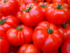 Tomaten-Paprika - Aufstrich